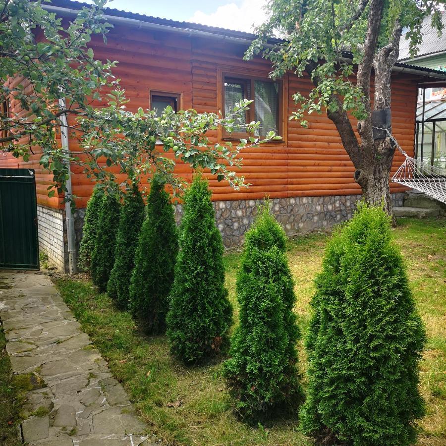 Kotiedzh U Mariny Villa Yaremche Ngoại thất bức ảnh