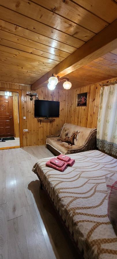 Kotiedzh U Mariny Villa Yaremche Ngoại thất bức ảnh