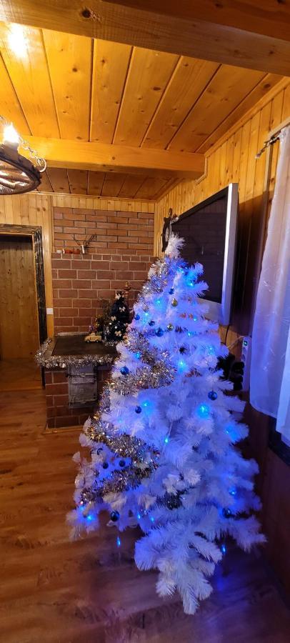 Kotiedzh U Mariny Villa Yaremche Ngoại thất bức ảnh