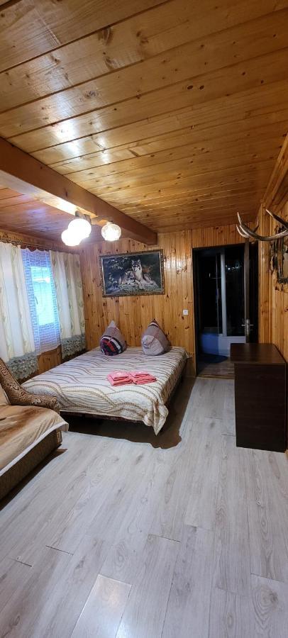Kotiedzh U Mariny Villa Yaremche Ngoại thất bức ảnh