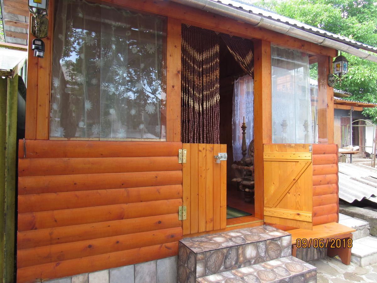 Kotiedzh U Mariny Villa Yaremche Ngoại thất bức ảnh