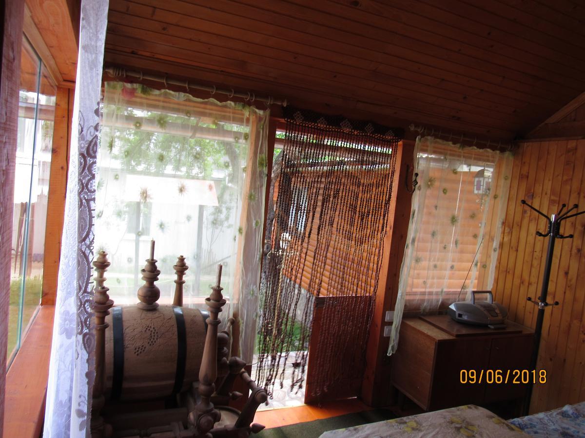 Kotiedzh U Mariny Villa Yaremche Ngoại thất bức ảnh